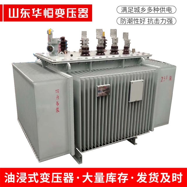 S13-10000/35嘉定嘉定嘉定电力变压器厂家
